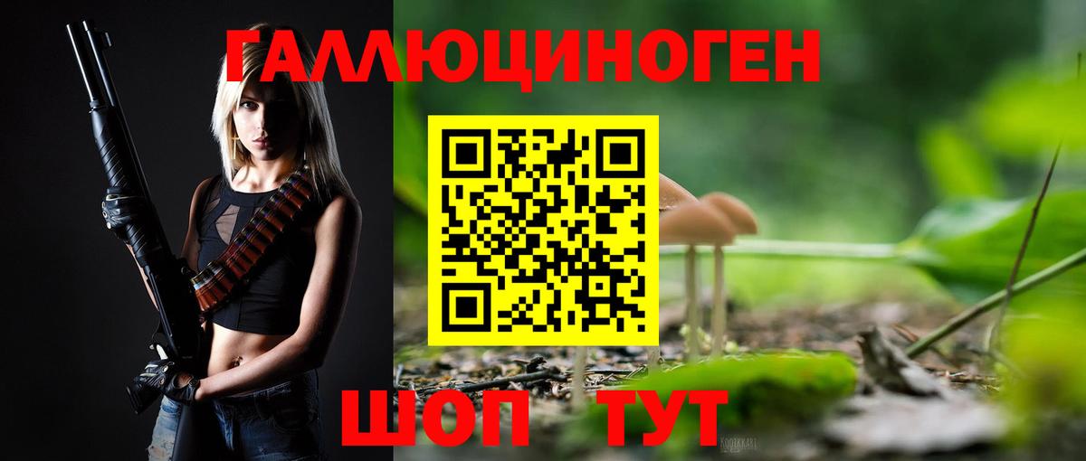 Волгодонск  Псилоцибиновые грибы мицелий  наркошоп  Вход с VPN 
